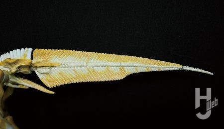 ウラベヒロト製作「カムイサウルス」製作中尻尾3