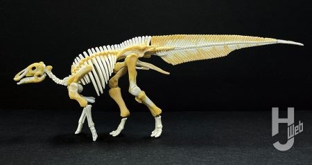ウラベヒロト製作「カムイサウルス」製作中加工終了