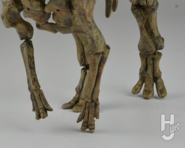ウラベヒロト製作「カムイサウルス」前肢アップ