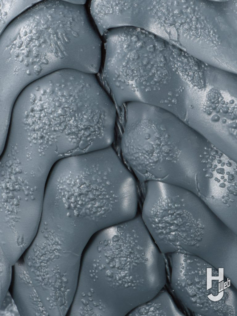 ARTPLA SCULPTURE WORKS ガメラ（1999）Re:イマジネーションの画像