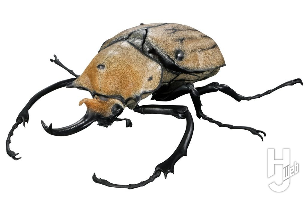 いきもの大図鑑アドバンスのエレファスゾウカブトの画像