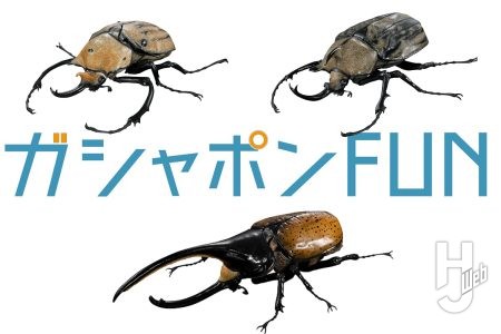 シリーズ最大級のビッグサイズ！「エレファスゾウカブト」「ギアスゾウカブト」「ヘラクレス・タカクワイ」がいきもの大図鑑アドバンスに登場【ガシャポン®最新情報】