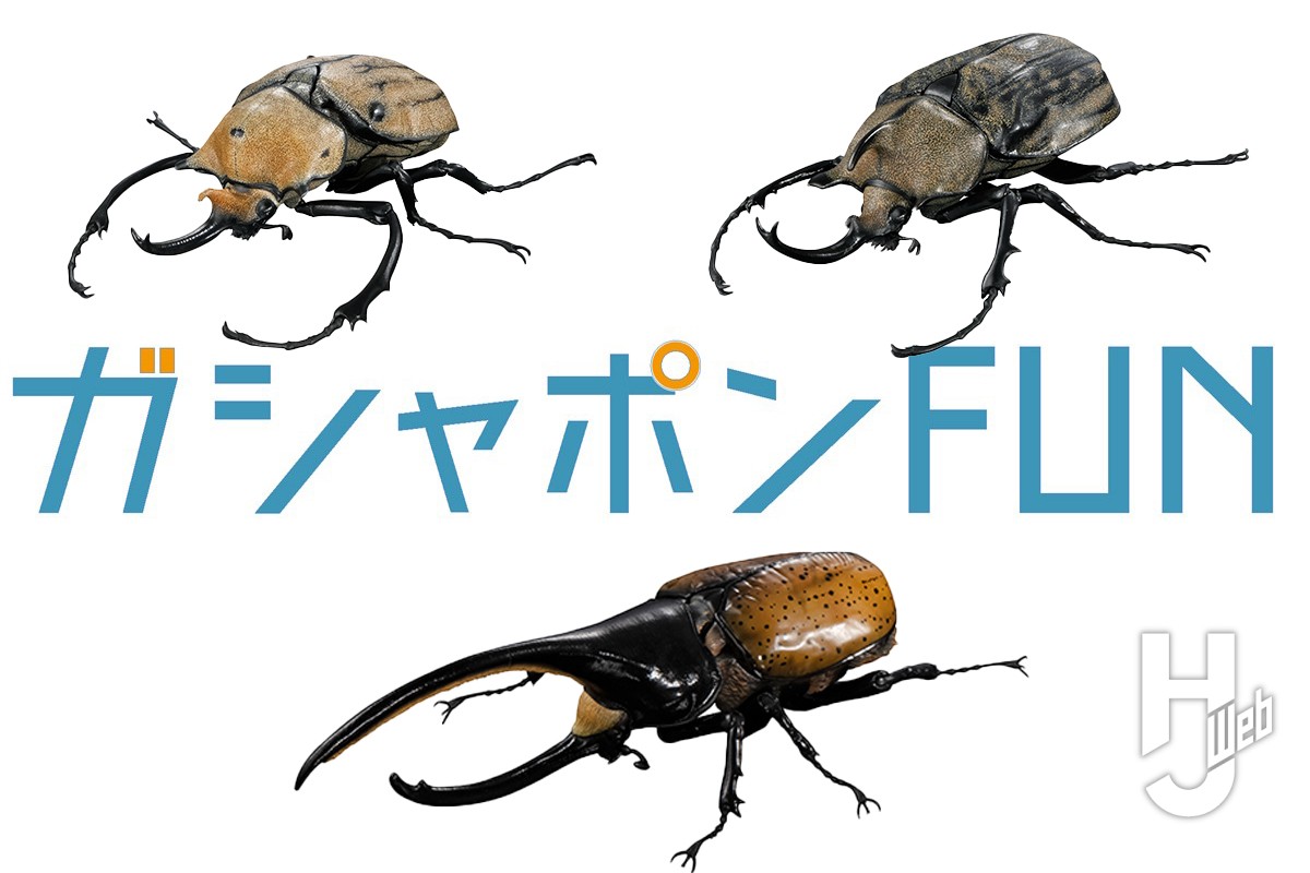 特別価格　コレクションシリーズギアスゾウカブト シリーズ最大級のビッグサイズ！「エレファスゾウカブト」「ギアス