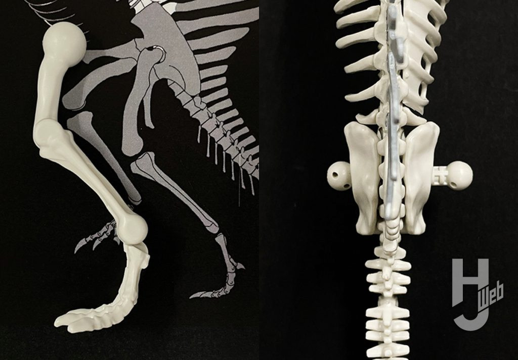 ウラベヒロト製作「スピノサウルス1936(BSP 1912 VIII 19)」製作中後肢
