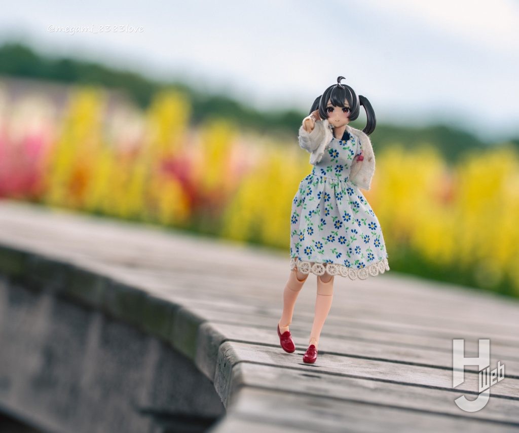 ソルト流撮影術「ガンナー お散歩」