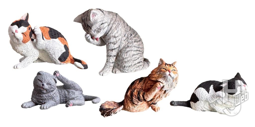 カイカイ猫
