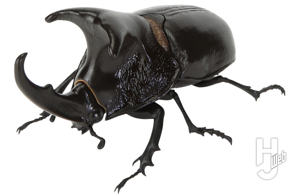 いきもの大図鑑 かぶとむし11のオオツノメンガタカブトの画像