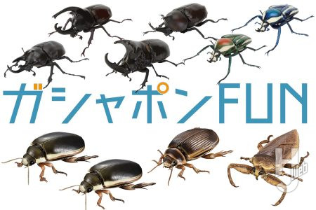 いきもの大図鑑「かぶとむし」第11弾は個性的なツノを持つカブトムシをラインナップ！アドバンスにはゲンゴロウ・タガメを超リアルに再現！【ガシャポン®最新情報】