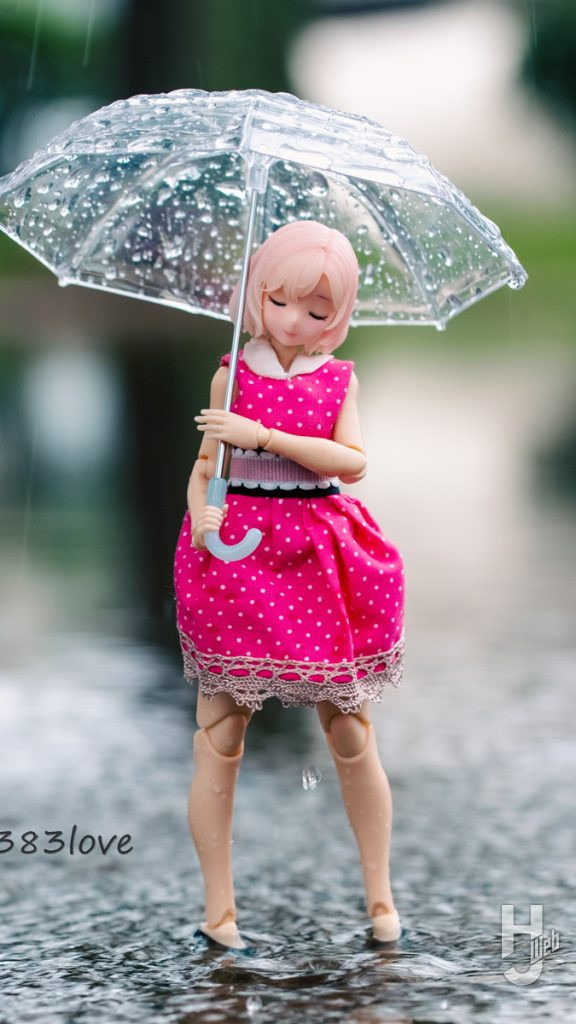 ソルト流撮影術雨　メインカットうちの子