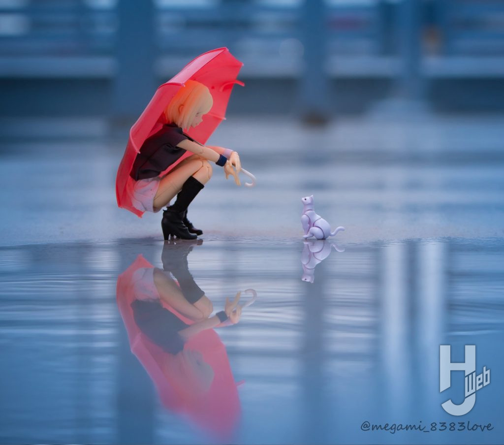 ソルト流撮影術雨写真ネコといっしょ