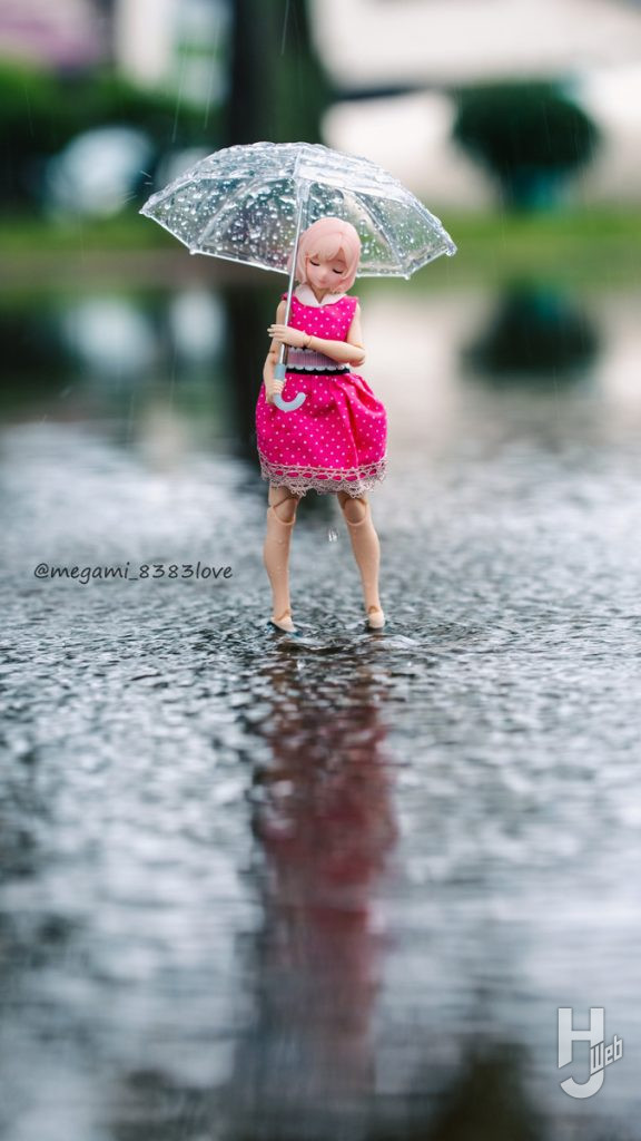 ソルト流撮影術雨　メインカット