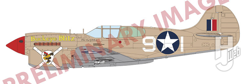 プロフィパック P-40K ショートテイル