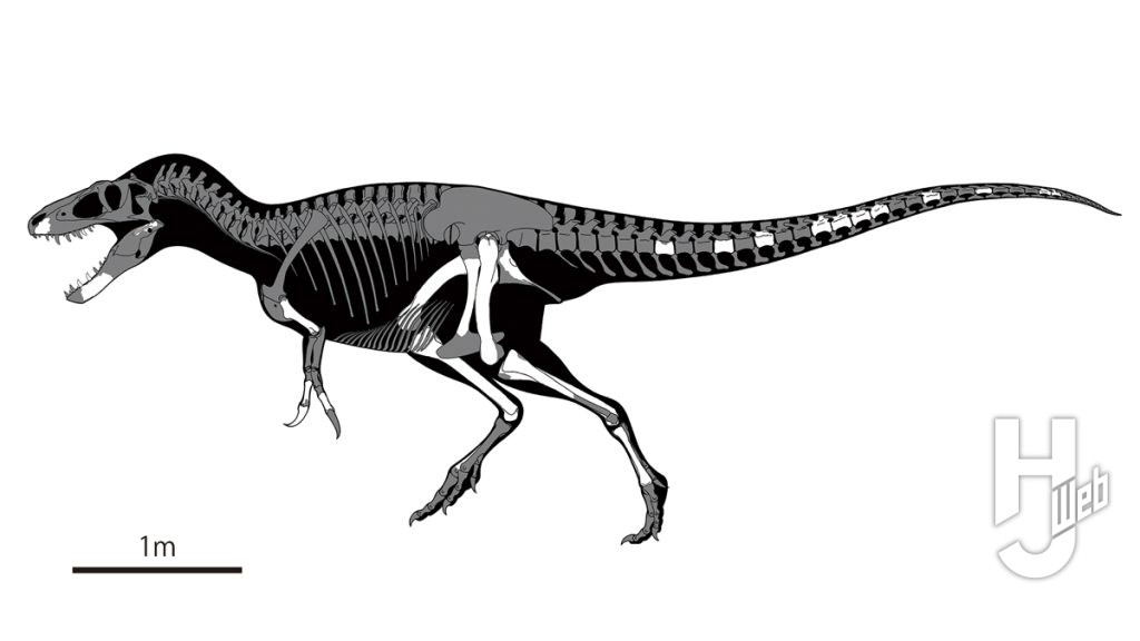 ドリプトサウルスの骨格図の画像