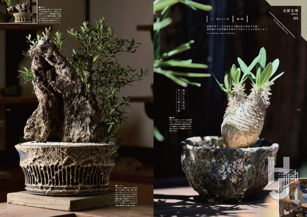 珍奇植物サンプル5