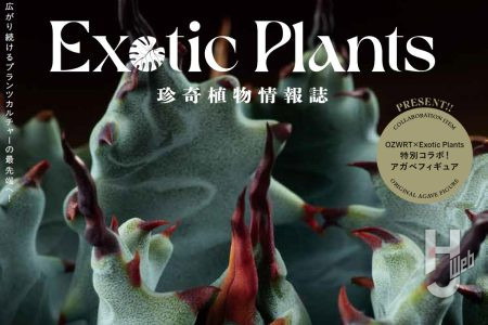 【本日発売】「珍奇植物情報誌　Exotic Plants エキゾチックプランツ」【HJいきもの部】