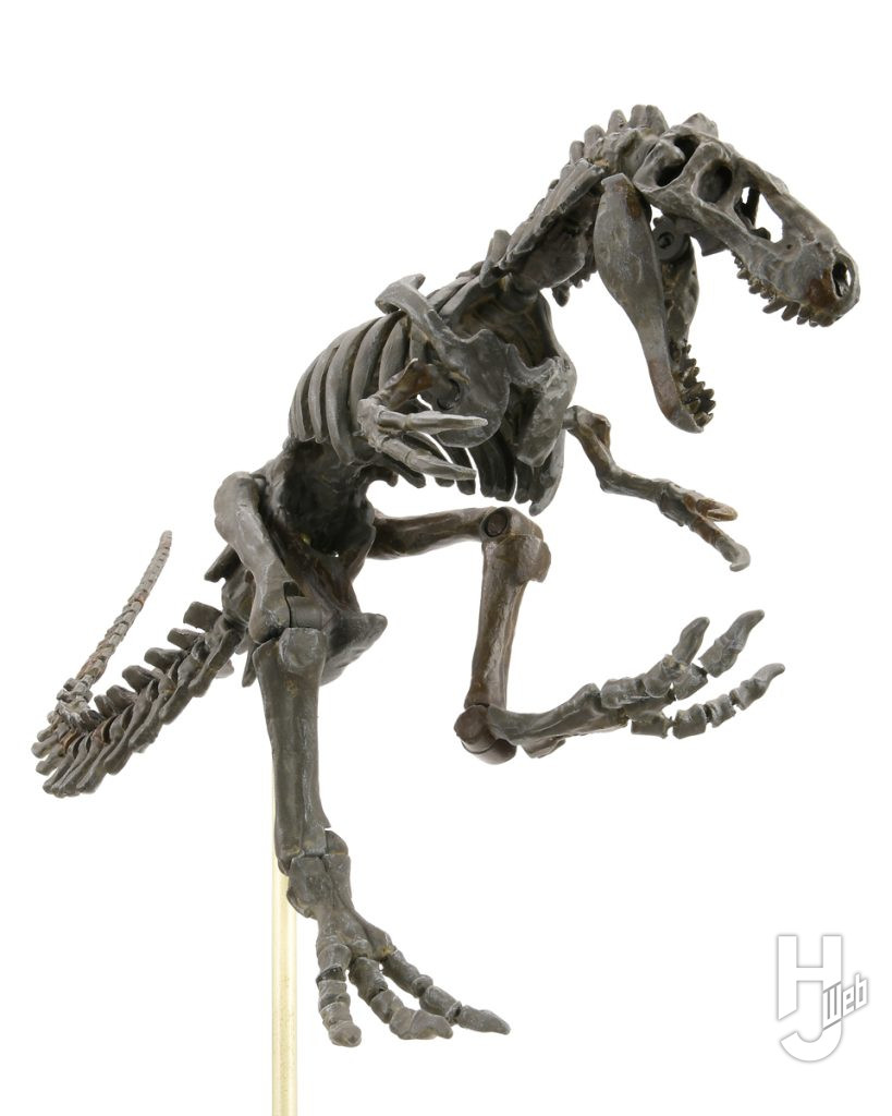 ドリプトサウルスのプラモデルのメイン画像