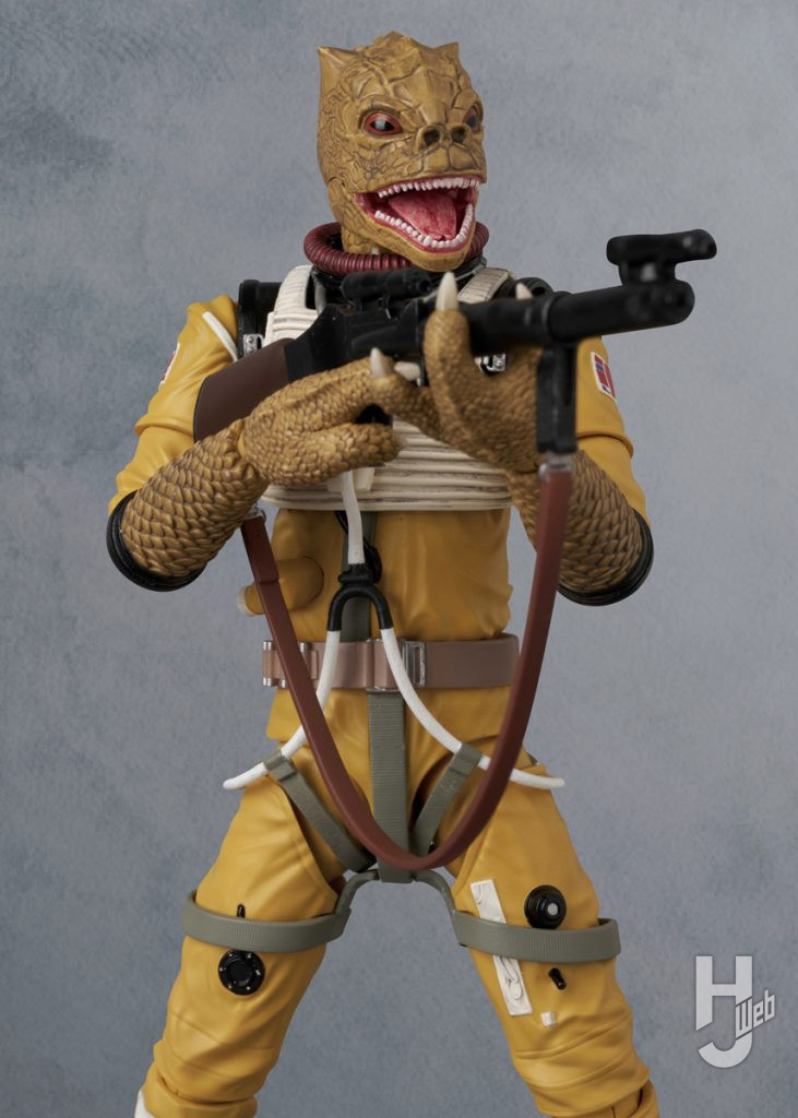 ボスクの可動フィギュアのアップ画像その1