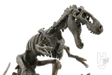 発見・命名から160年を経た「ドリプトサウルス」の最新復元を「ティラノサウルス1915」をベースに製作！骨格図・解説担当のG. Masukawaがピンチヒッターとして作例に挑戦【プラノサウルス復元プロジェクト】